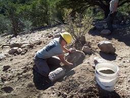 Teen girl moving a rock on a trail