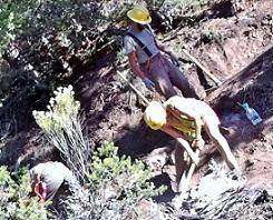 Girl digging on a trail